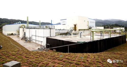 省重点工程危固废处置中心及资源化综合利用项目正式投用 固废治理迈入新阶段
